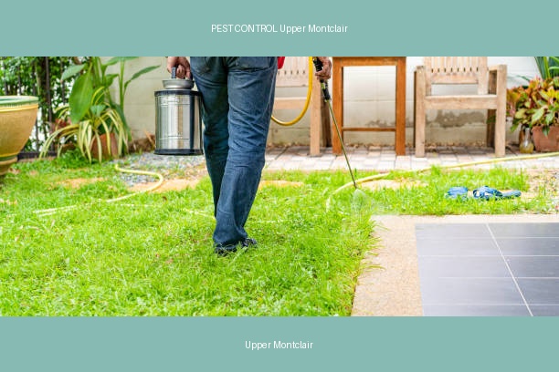 PEST CONTROL Upper Montclair